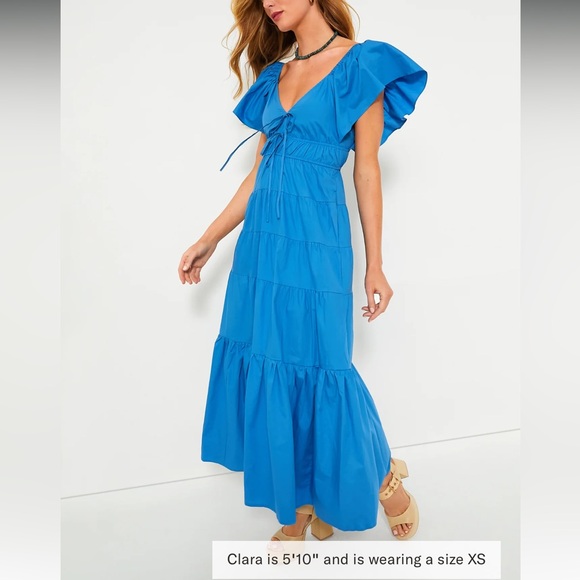 Tuckernuck Dresses & Skirts - MOON RIVER
Blue V-Neck Maxi Dress
